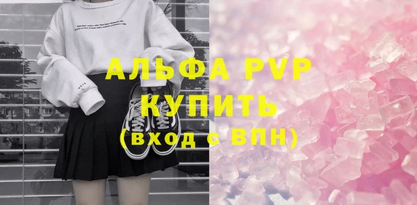 индика Аркадак