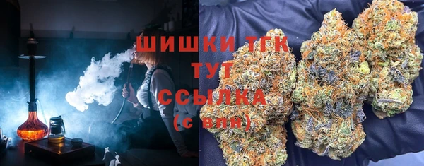 твердый Балахна