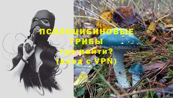 метадон Слюдянка