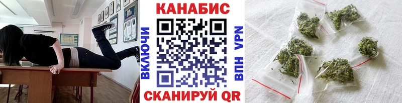 Бошки Шишки планчик  где можно купить наркотик  Олёкминск 